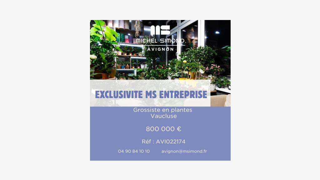 Vente grossiste en plantes vertes sur 1500m² 