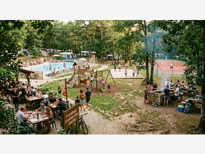 Vente camping 4 **** en parc arboré dans le Lot