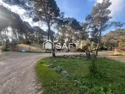 Vente haras 12 hectares 6 parcelles à Mougins