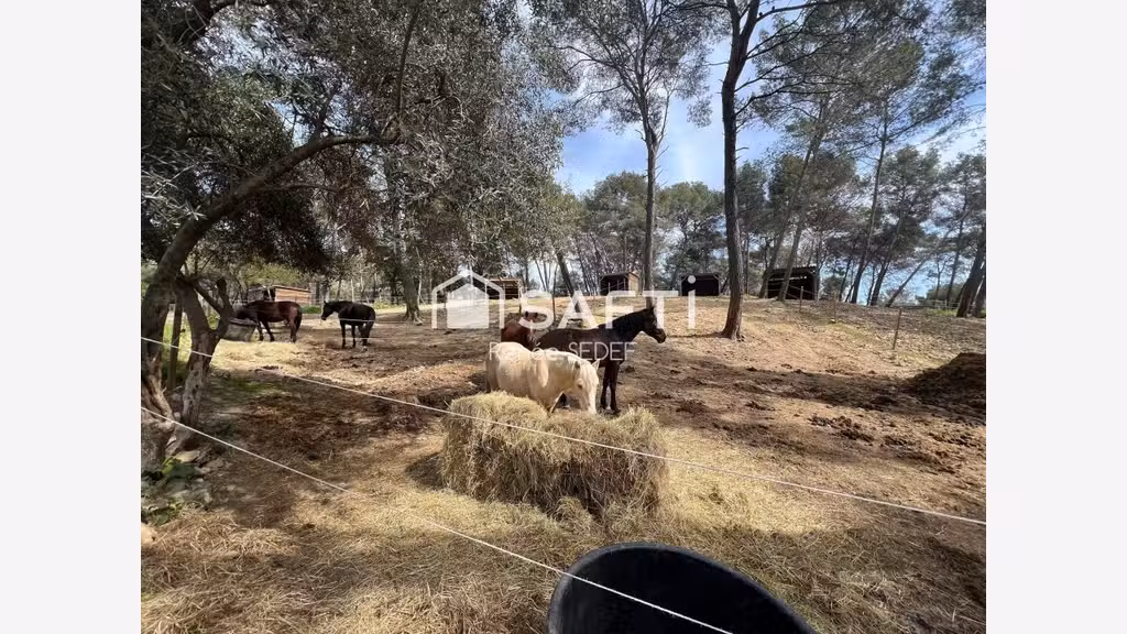 Vente haras 12 hectares 6 parcelles à Mougins