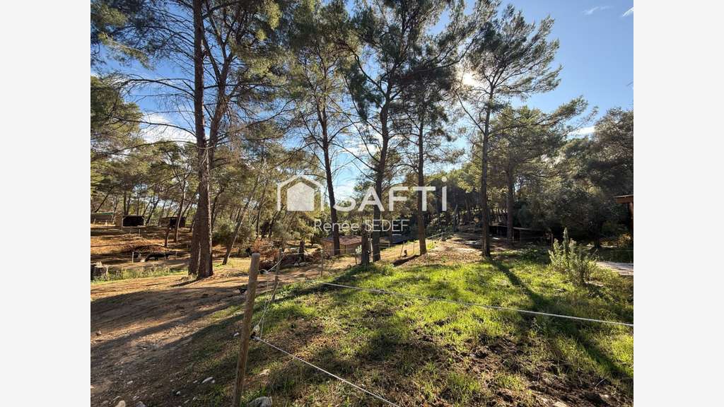 Vente haras 12 hectares 6 parcelles à Mougins