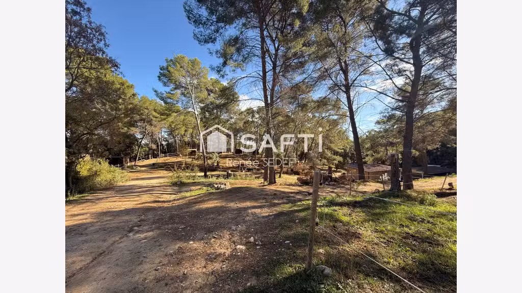 Vente haras 12 hectares 6 parcelles à Mougins