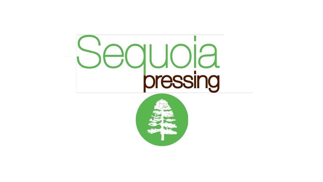 Ouvrir Pressing emplacement excellent Haguenau