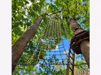 Vente parc loisirs de plein air et accrobranche 02