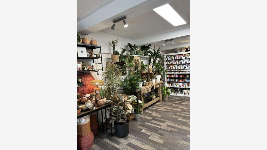 Vente FDC fleuriste décoration à Plan de Cuques