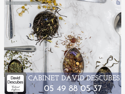 A vendre salon de thé & accessoires à Poitiers
