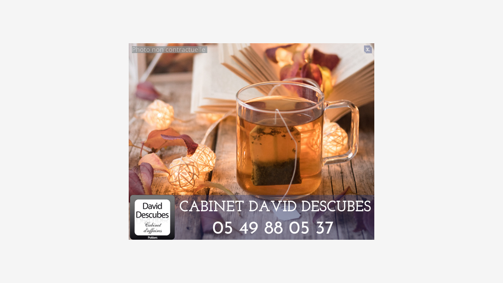 A vendre salon de thé & accessoires à Poitiers