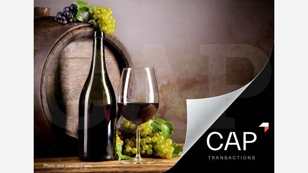 Vente cave et bar à vins en périphérie de Rennes