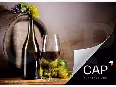 Vente cave et bar à vins en périphérie de Rennes