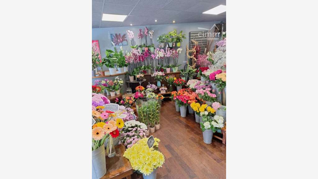 Vente FDC fleuriste à Saint Maur des Fosses