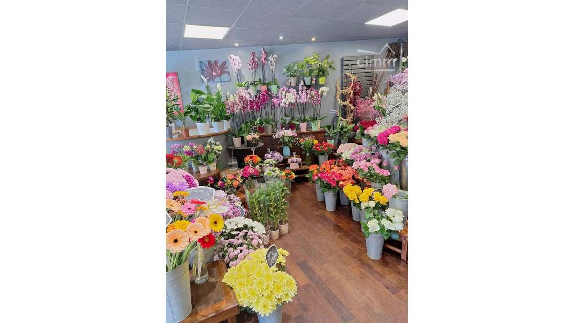 Vente FDC fleuriste à Saint Maur des Fosses