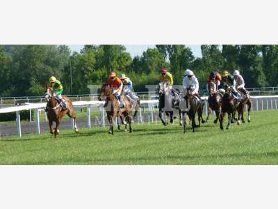 A vendre bar PMU entre Laval et Château-Gontier