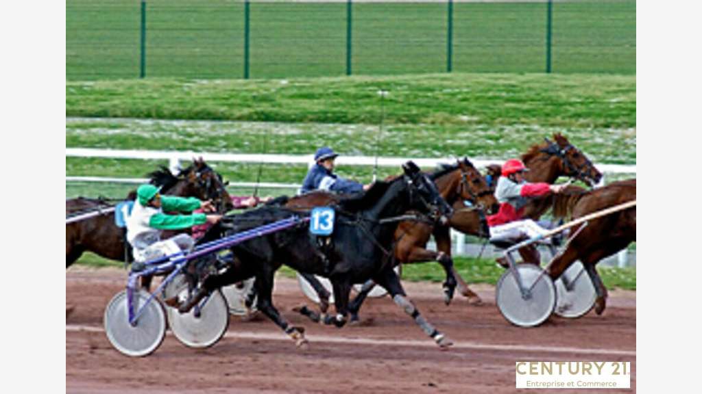 A vendre tabac presse loto FDJ proche Le Mans