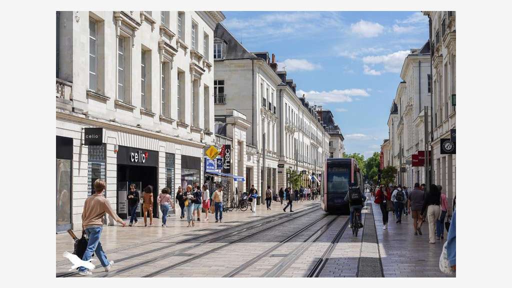 Vente restaurant asiatique empl n°1 à Tours