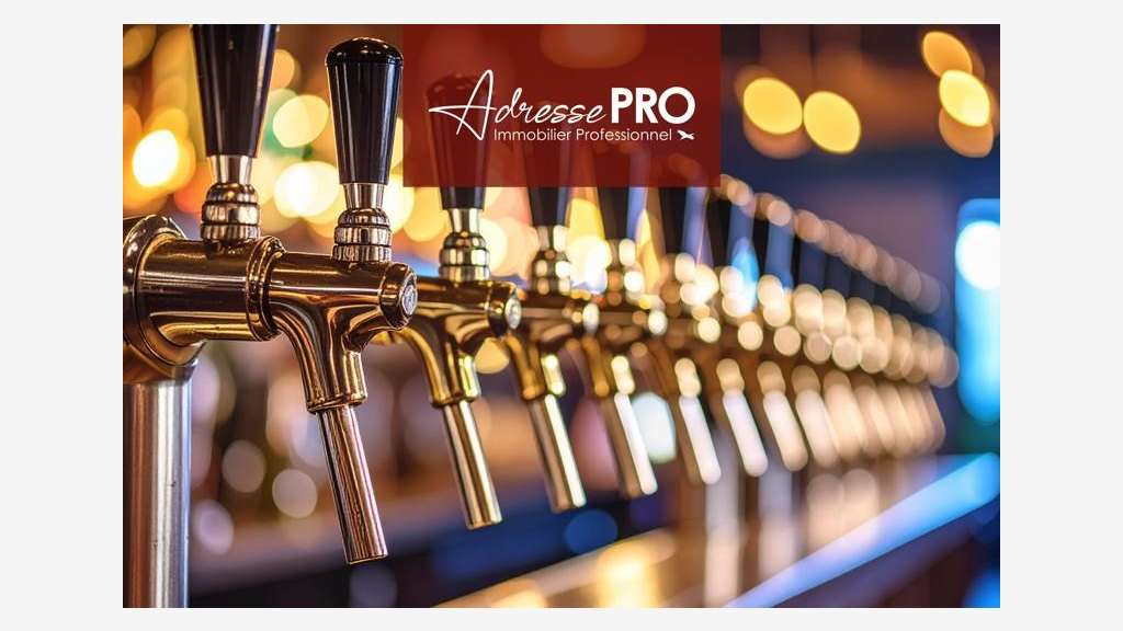 Vente restaurant bar dans le Vieux-Tours
