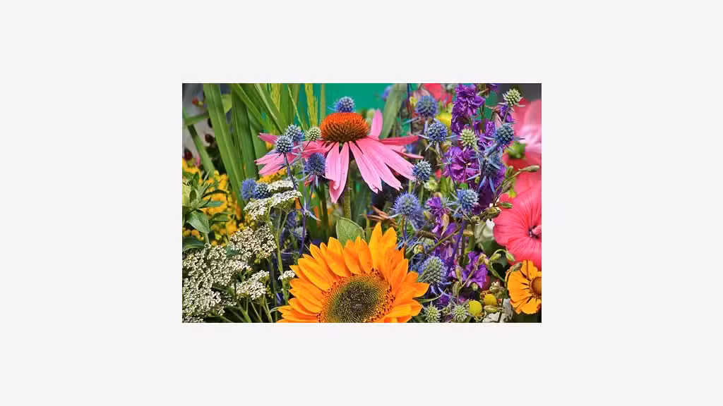 Vend fonds de fleurs et décoration dept Manche