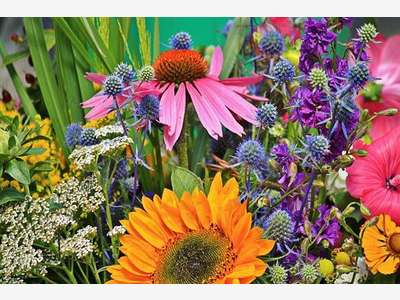 Vend fonds de fleurs et décoration dept Manche