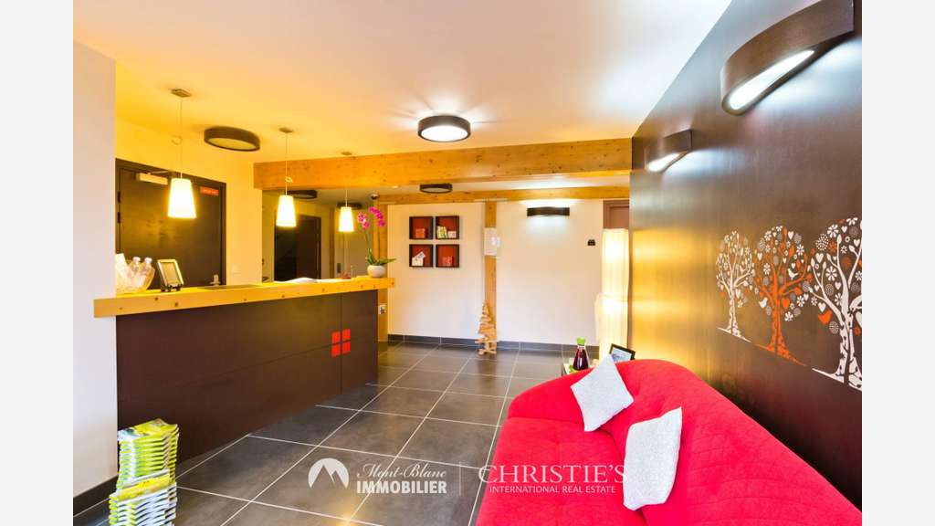 Rare opportunité murs et fonds hôtel **** - 74