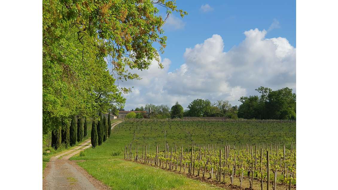 Vente hôtel château **** à Yvrac