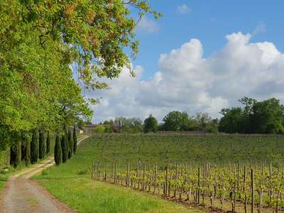 Vente hôtel château **** à Yvrac