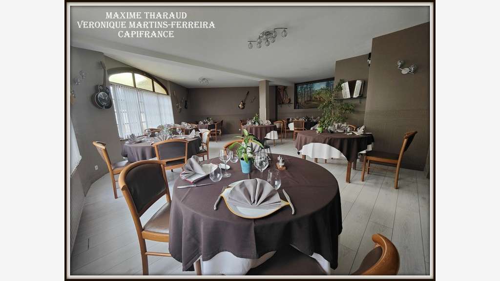 Vente hôtel Restaurant 20 Chambres à Cour-Cheverny