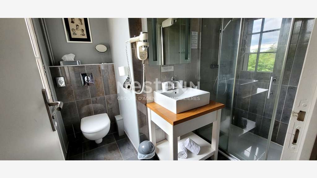 Vente hôtel restaurant 3 *** secteur Sologne