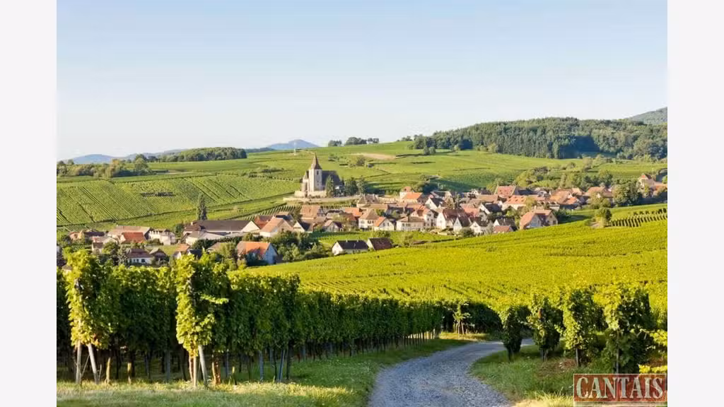 Vente hôtel restaurant rénové dept Haut Rhin
