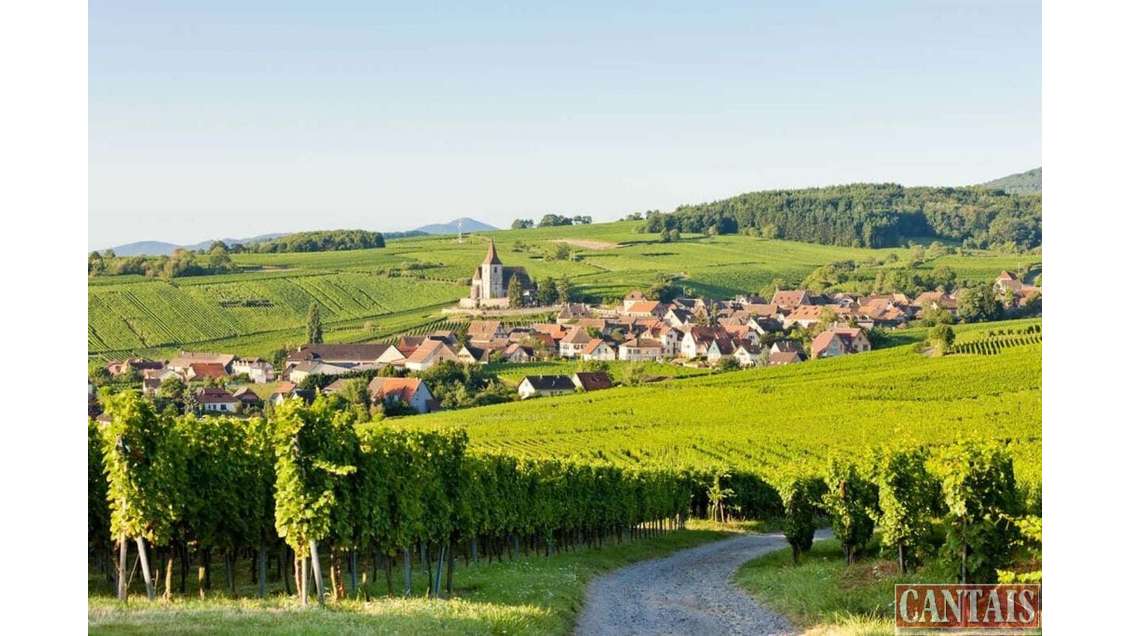 Vente hôtel restaurant rénové dept Haut Rhin