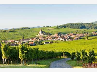 Vente hôtel restaurant rénové dept Haut Rhin