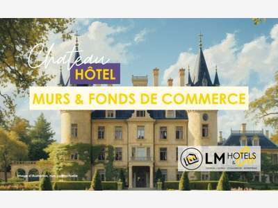 Hôtel château à vendre proche de Laval