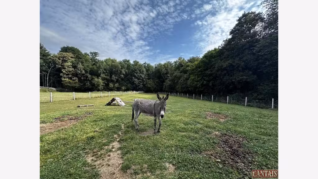 Vente Gîte au cœur de la campagne normande