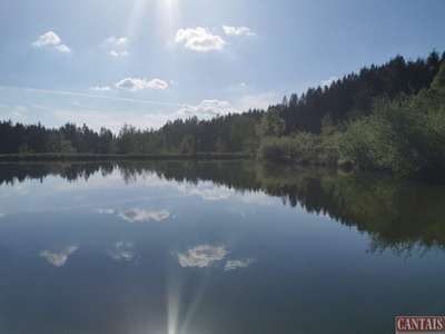 Vente Hôtel - Hôtel restaurant à Contrexéville