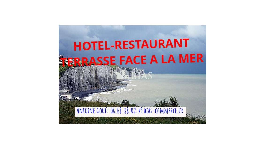 Vente hôtel restaurant terrasse licence IV dept 76