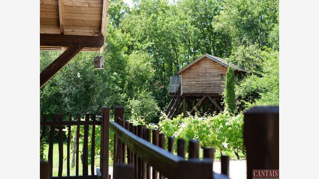 A vendre 2 cabanes haut de gamme en vignoble 33