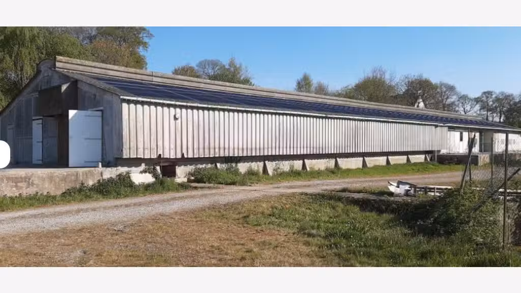 Bâtiment agricole de stockage surélevé, avec quai 