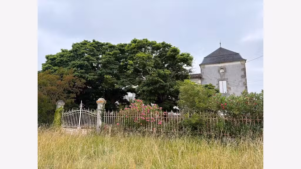 Château dominant les côteaux de L'ENTRE DEUX MERS