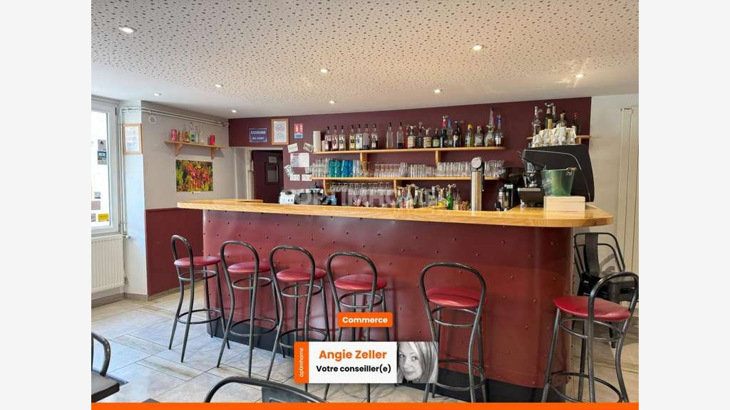 Bar-Restaurant et appartement T5 et loft à Foncine