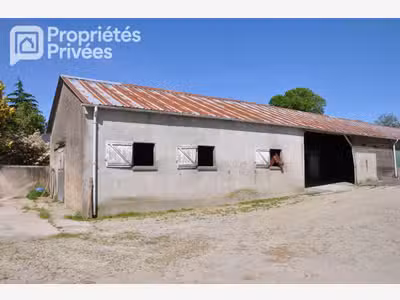 Vente centre équestre 7 hectares hangar en Mayenne