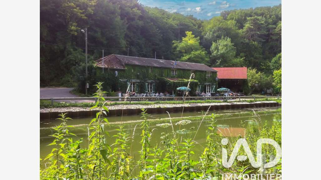 Vente auberge à Nargis Canal du Loing
