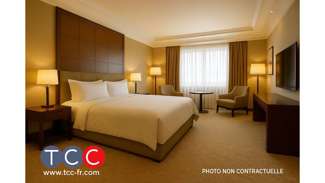 A vendre 2 appartements meublés à Toulouse