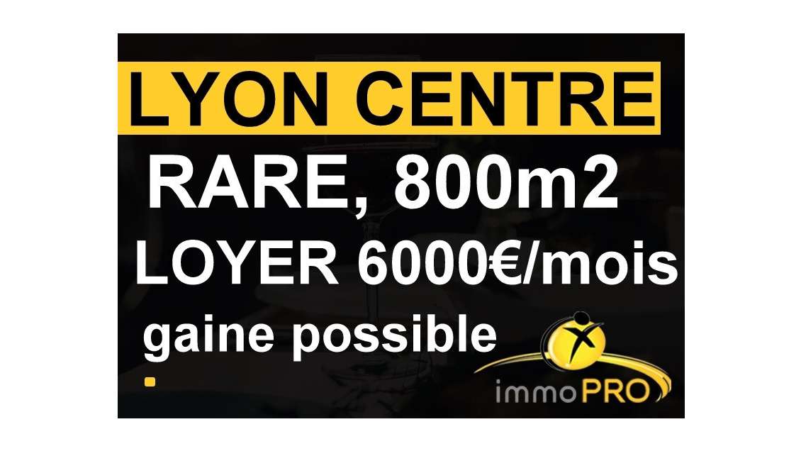 Vend local de 800m² sur Lyon intramuros