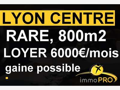 Vend local de 800m² sur Lyon intramuros