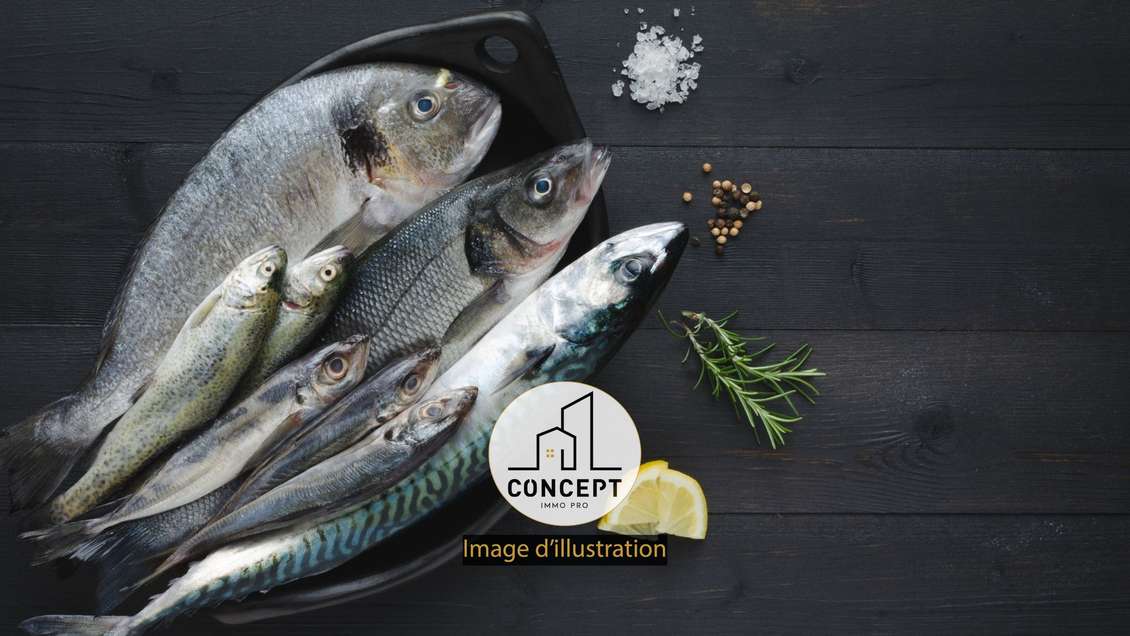 AV poissonnerie traiteur région Concarneau