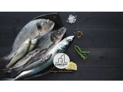 Vente Alimentation à Concarneau