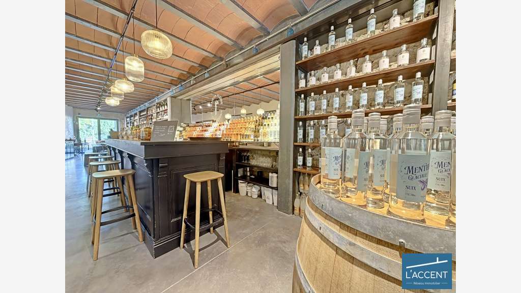 Vente murs et fonds distillerie en Camargue
