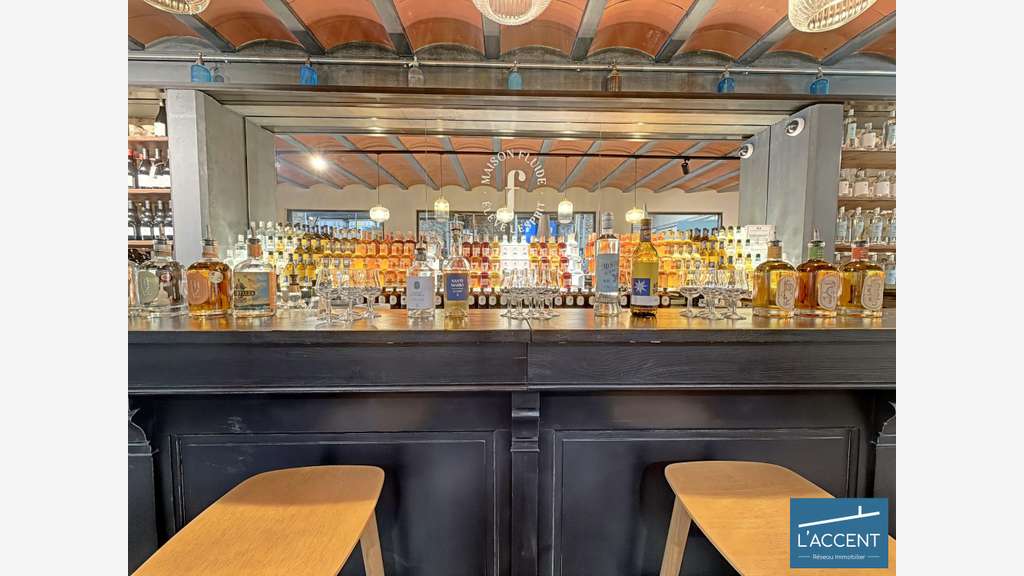 Vente murs et fonds distillerie en Camargue