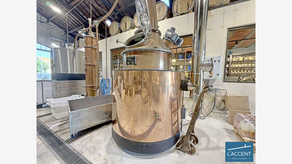 Vente murs et fonds distillerie en Camargue