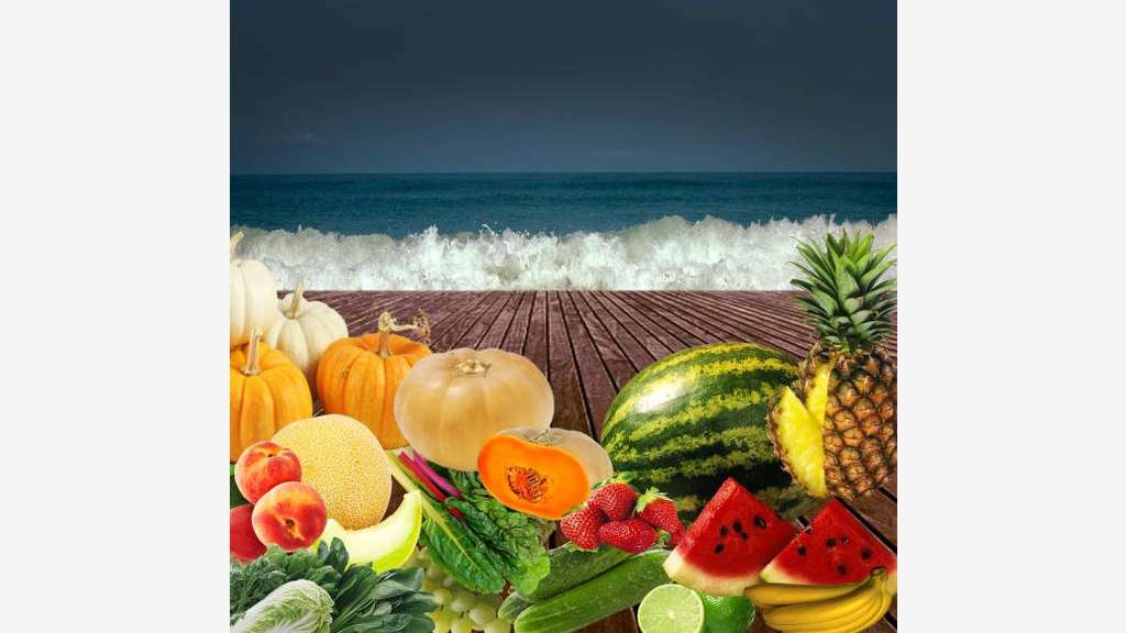 FDC épicerie primeur à vendre à Argelès-sur-Mer