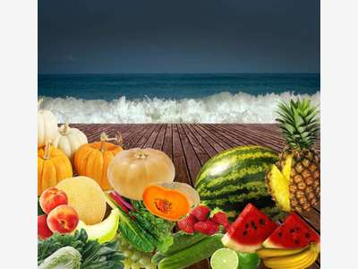 FDC épicerie primeur à vendre à Argelès-sur-Mer