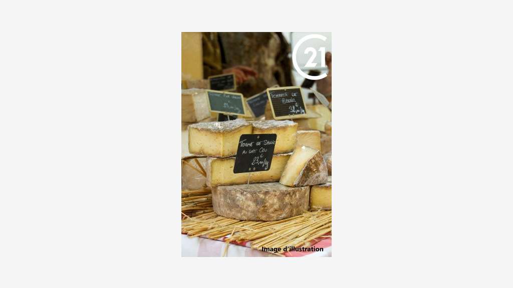 Vente fromagerie crèmerie ville importante 66